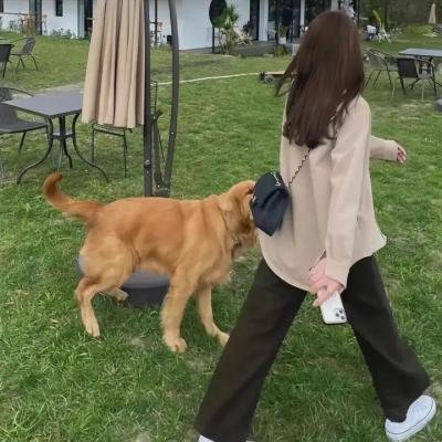 知音